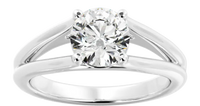 Split Shank