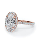 Haley OV 4R b